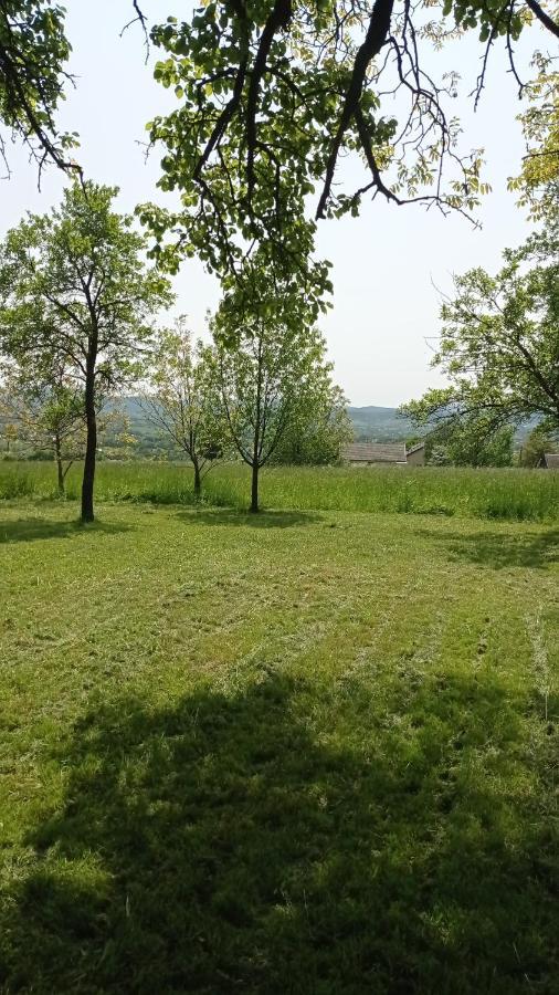 Oaza Milosci Lipinki  Esterno foto