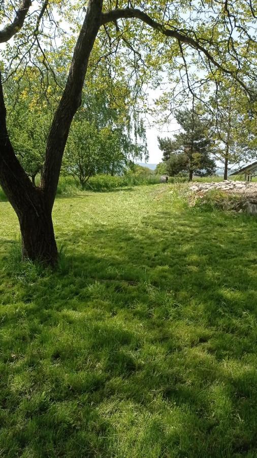 Oaza Milosci Lipinki  Esterno foto